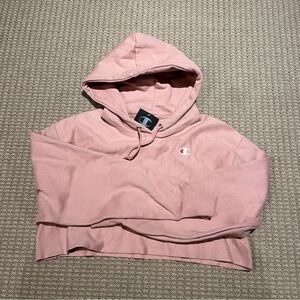 Small Champion Hoodie
